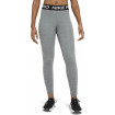 Nike Dri-Fit Pro 365 Training Γυναικείο Μακρύ Κολάν Ψηλόμεσο (Γκρι)-CZ9779-084